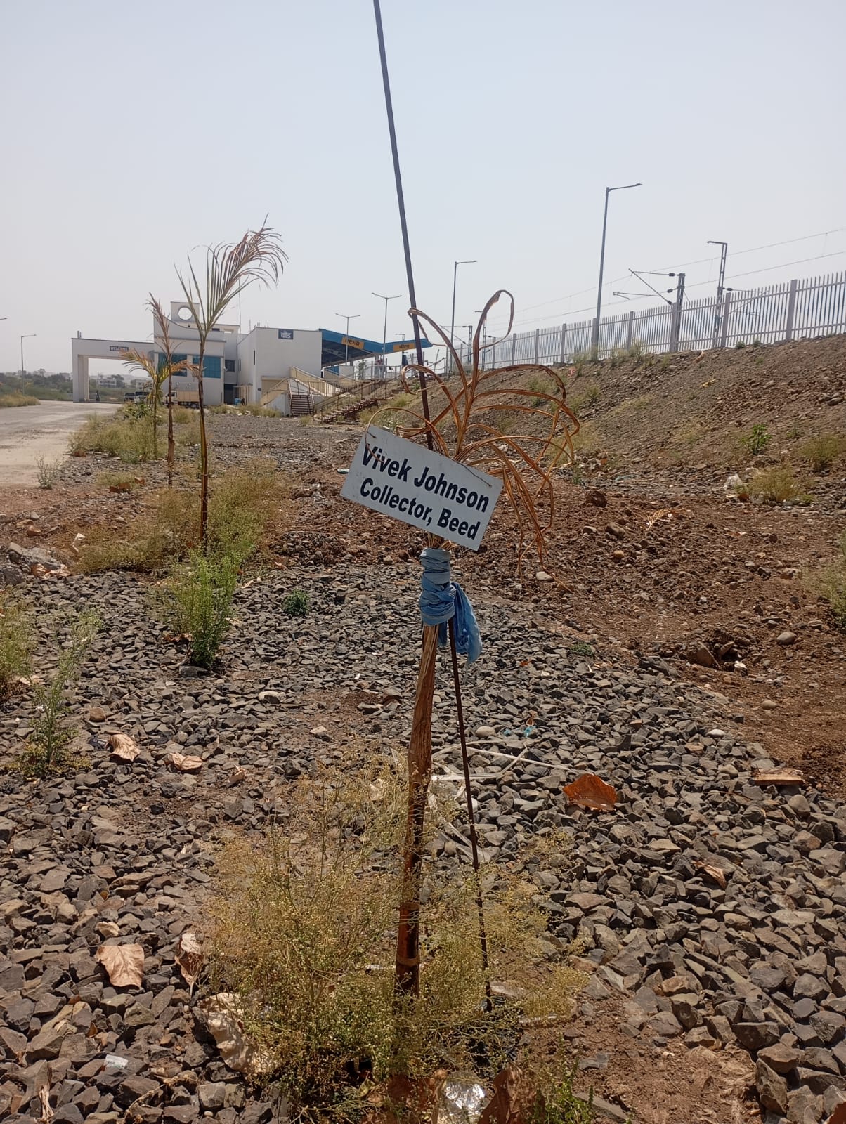 आधीचे जगले नाही अन नव्याने लाखो झाडं लावायचा आदेश!