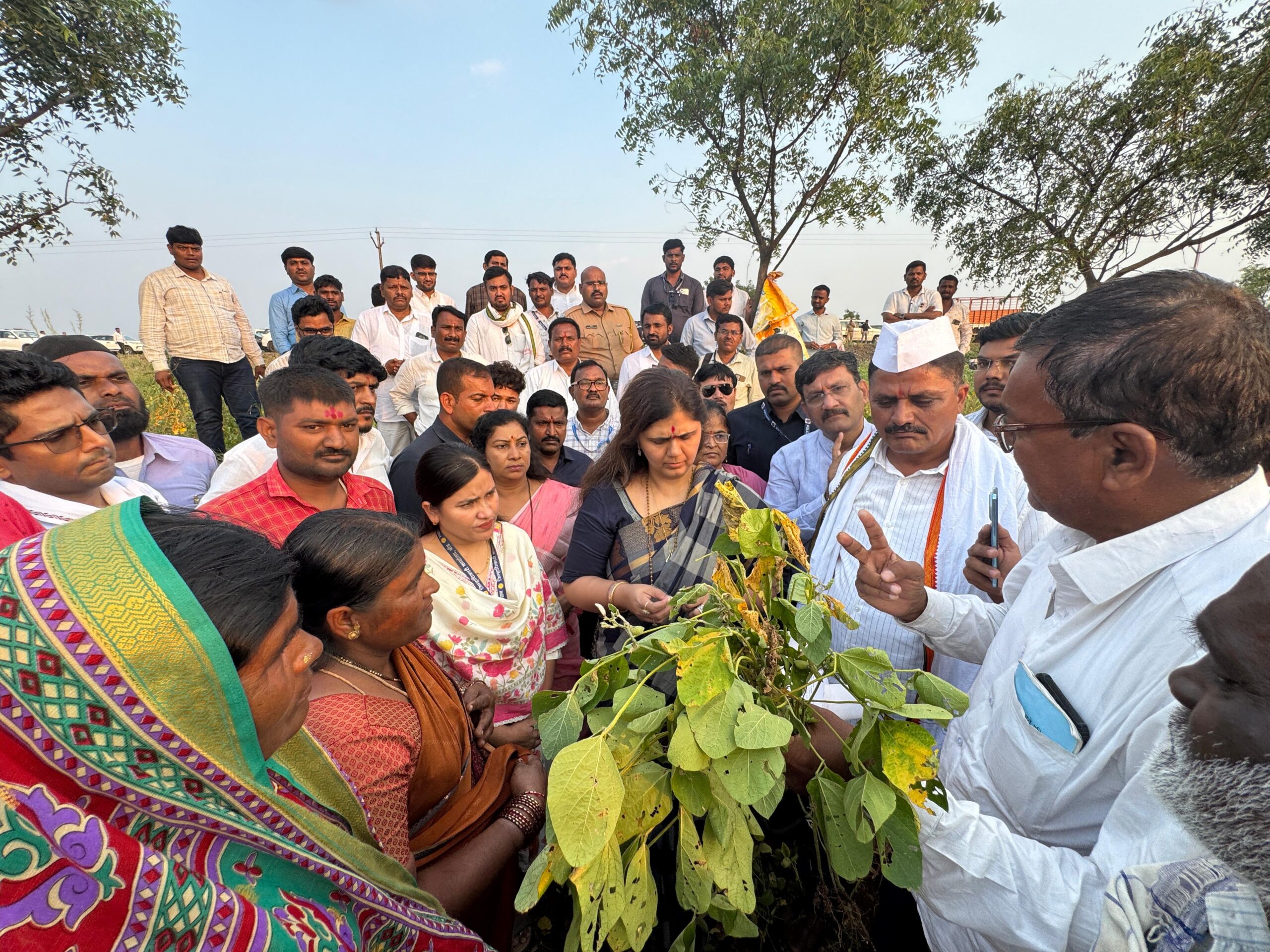 शेतकऱ्याची दिवाळी गोड व्हावी यासाठी शासन प्रयत्नशील -ना. पंकजा मुंडे!